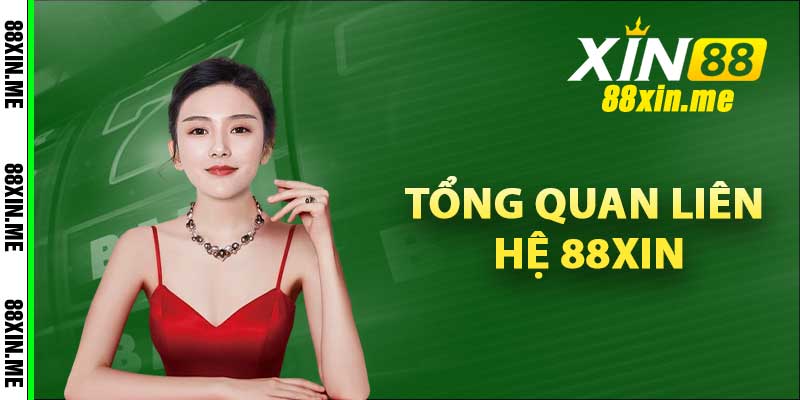 Tổng quan liên hệ 88xin